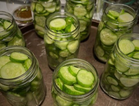 Too Many Cucumbers?                    Time for Freezer Pickles! 🥒❄️